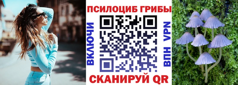 где можно купить наркотик  Куртамыш  ссылка на мегу как зайти  Псилоцибиновые грибы мухоморы 